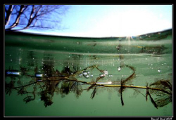 Caught in the ice - have a close look at the air bubbles ... by Daniel Strub 
